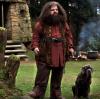 Hagrid i Kie�